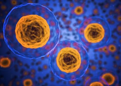 El mito de las células madre
