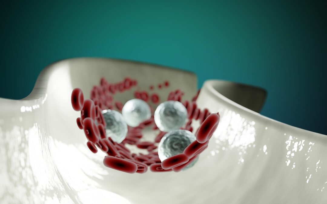 El increíble mundo de las células